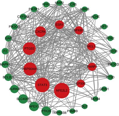 Blood-supplementing effect of low molecular weight peptides of E-Jiao on chemotherapy-induced myelosuppression: evaluation of pharmacological activity and identification of bioactive peptides released in vivo